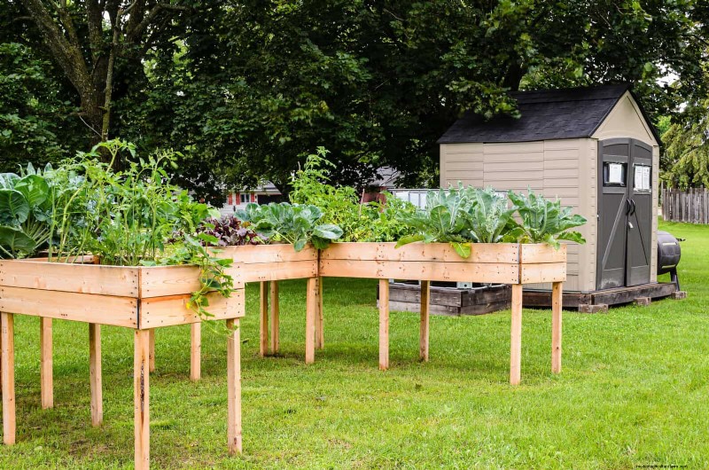 25 Creative Garden Border Ideas to Enhance Curb Appeal