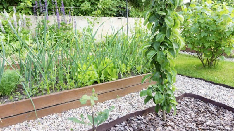 25 Creative Garden Border Ideas to Enhance Curb Appeal
