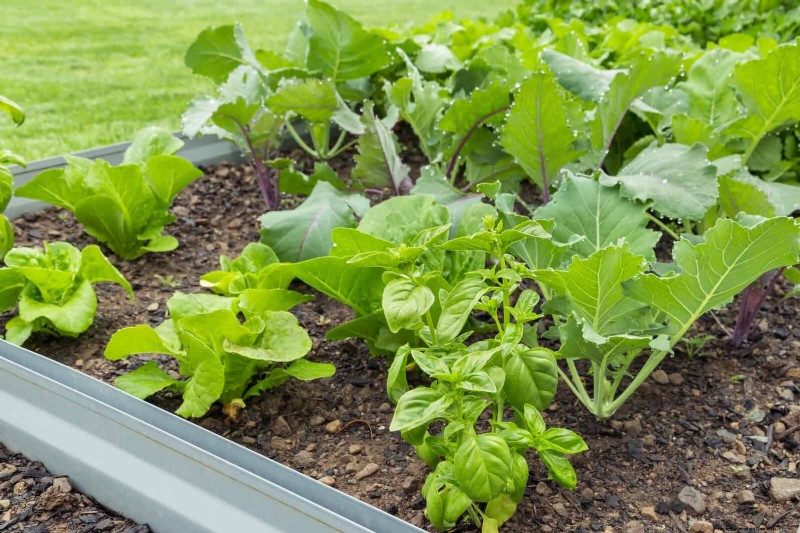 25 Creative Garden Border Ideas to Enhance Curb Appeal