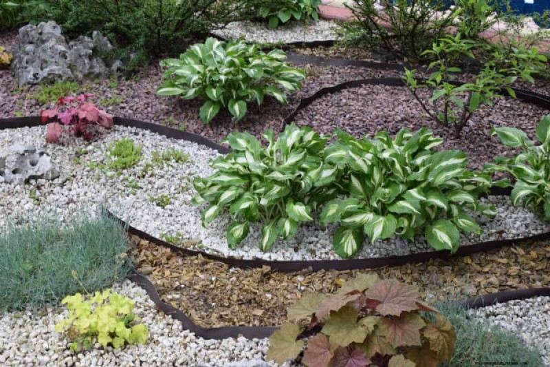 Plant Compatibility: Avoid Garden Conflicts & Boost Growth