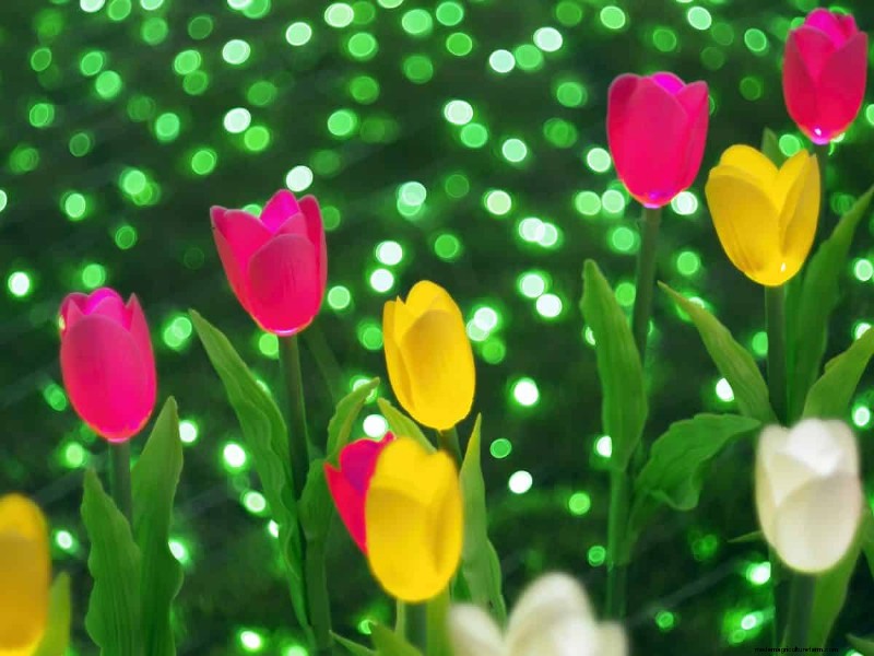 Outdoor Lighting Ideas: Transform Your Garden After Dark | Depositphotos