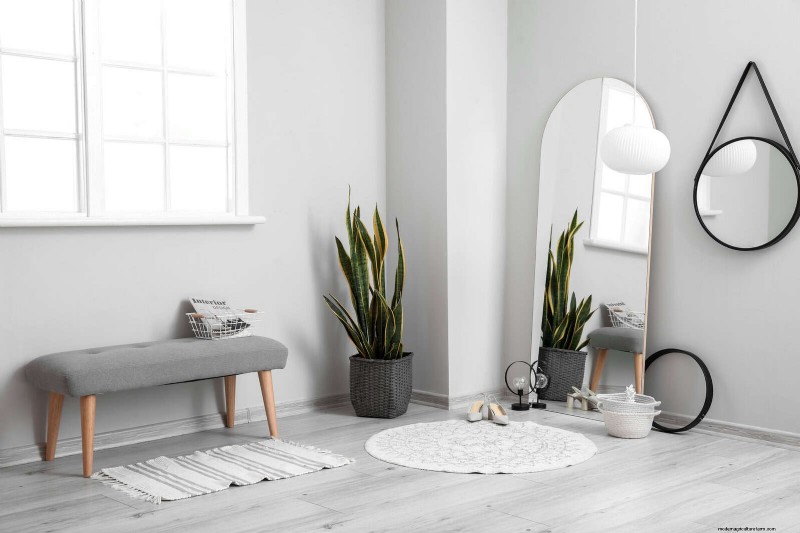 Transforming Shady Corners: A Complete Guide to Plant Styling & Care
