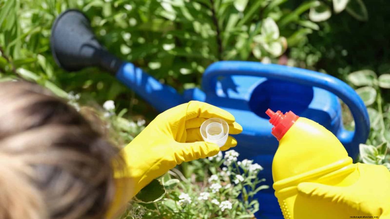 Transforming Shady Corners: A Complete Guide to Plant Styling & Care