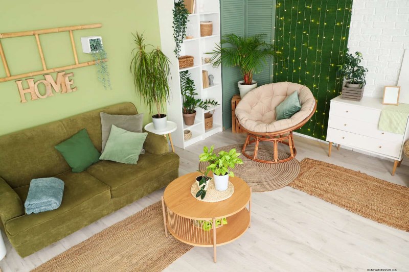 Transforming Shady Corners: A Complete Guide to Plant Styling & Care