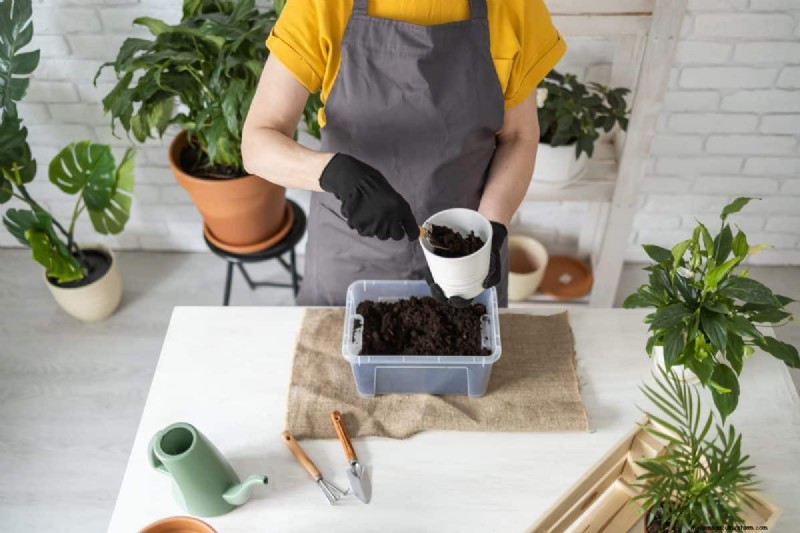 The Hidden Dangers of Over-Repotting: 25 Reasons to Wait