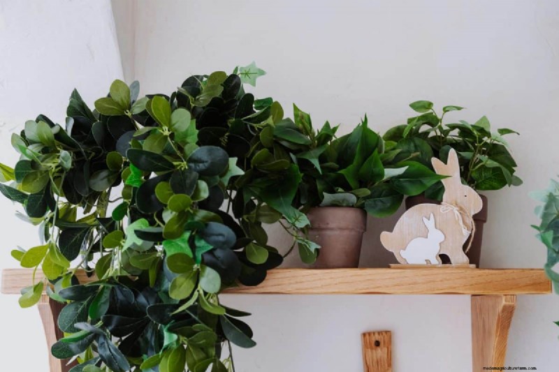The Hidden Dangers of Over-Repotting: 25 Reasons to Wait