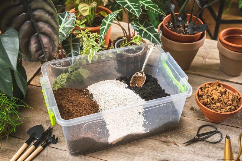Train Snake Plants for Upright Growth: Expert Tips & Techniques