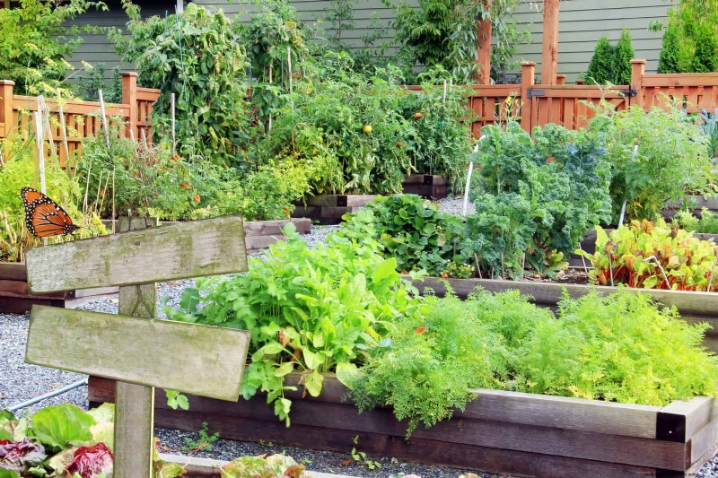 Companion Planting: 23 Plant Pairings for a Bountiful Garden