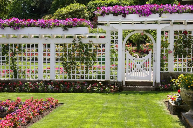Enhance Your Outdoor Space: Smart Trellis Ideas for Privacy & Style