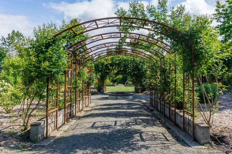 Enhance Your Outdoor Space: Smart Trellis Ideas for Privacy & Style