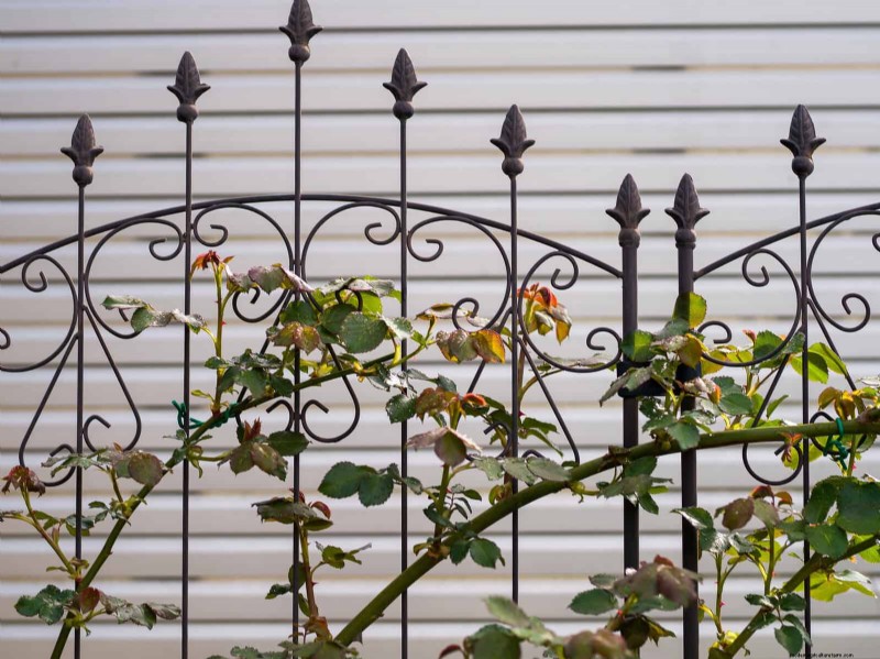 Enhance Your Outdoor Space: Smart Trellis Ideas for Privacy & Style