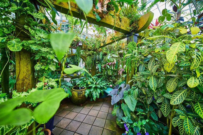 Enhance Your Outdoor Space: Smart Trellis Ideas for Privacy & Style