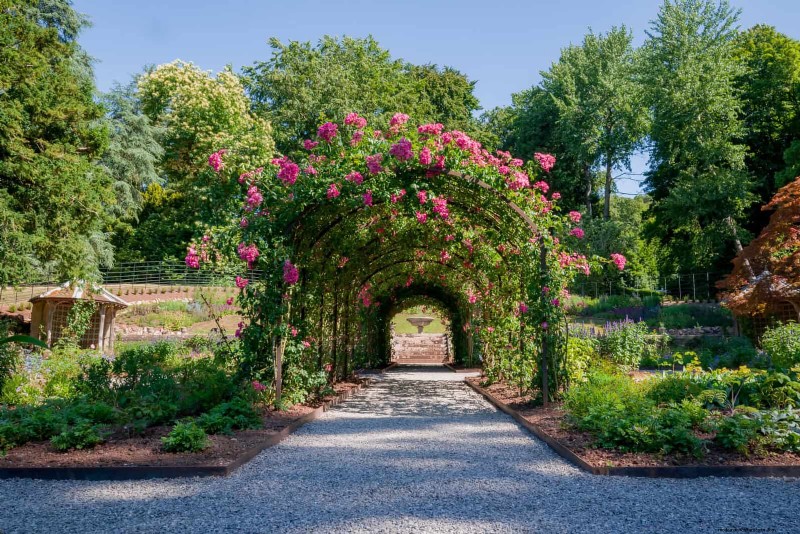 Enhance Your Outdoor Space: Smart Trellis Ideas for Privacy & Style
