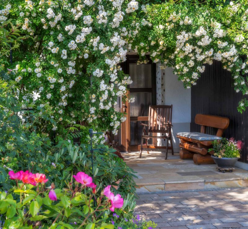 Enhance Your Outdoor Space: Smart Trellis Ideas for Privacy & Style