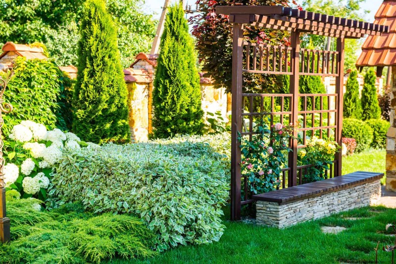 Enhance Your Outdoor Space: Smart Trellis Ideas for Privacy & Style