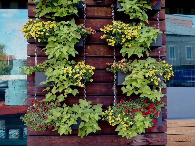 Enhance Your Outdoor Space: Smart Trellis Ideas for Privacy & Style
