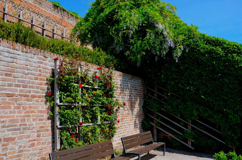Enhance Your Outdoor Space: Smart Trellis Ideas for Privacy & Style