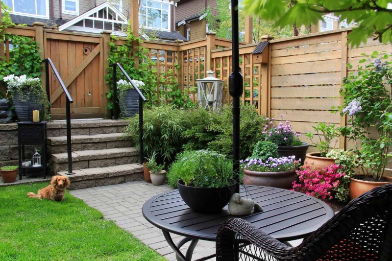 Enhance Your Outdoor Space: Smart Trellis Ideas for Privacy & Style