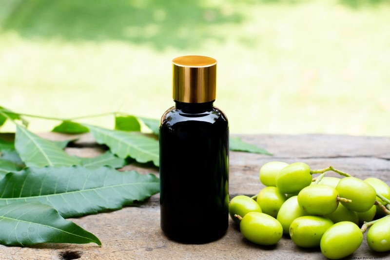 How to Clean Plant Leaves: 26 Tips for Enhanced Photosynthesis