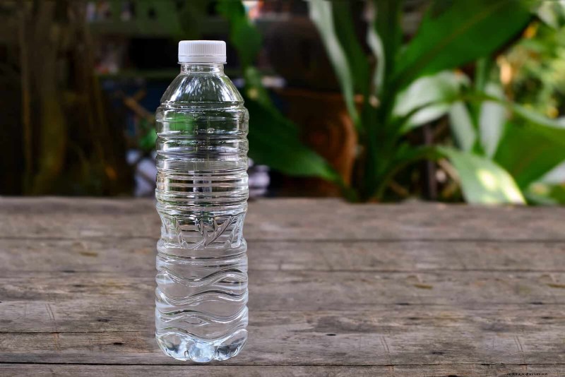 How to Clean Plant Leaves: 26 Tips for Enhanced Photosynthesis