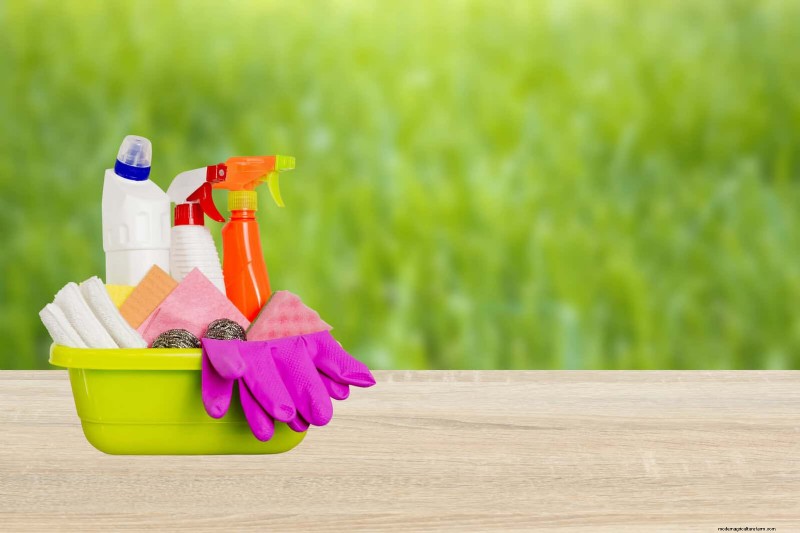 How to Clean Plant Leaves: 26 Tips for Enhanced Photosynthesis