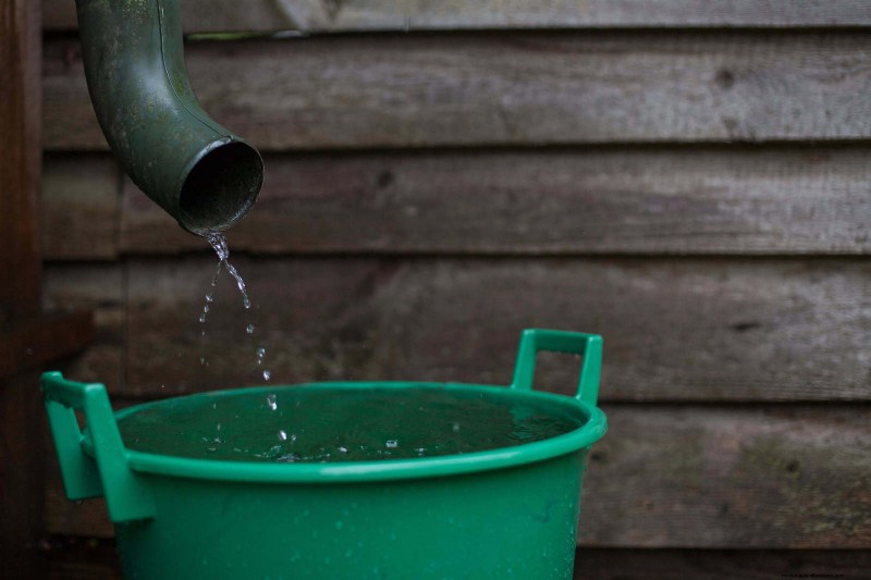 How to Clean Plant Leaves: 26 Tips for Enhanced Photosynthesis