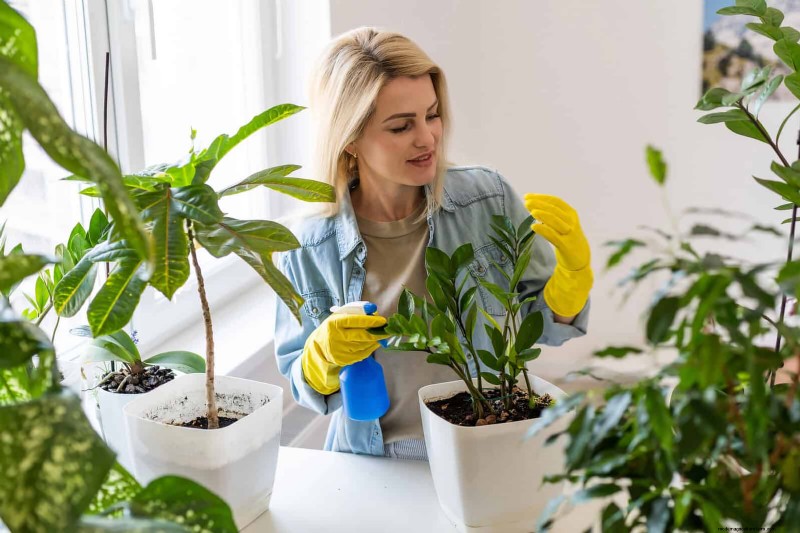 How to Clean Plant Leaves: 26 Tips for Enhanced Photosynthesis