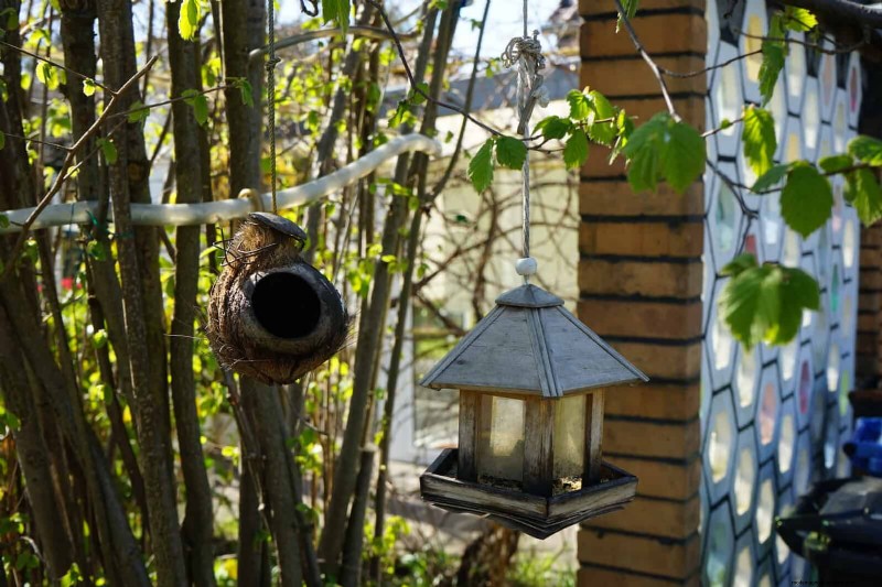 Backyard Bird Feeding: A Comprehensive Guide for Happy, Healthy Birds