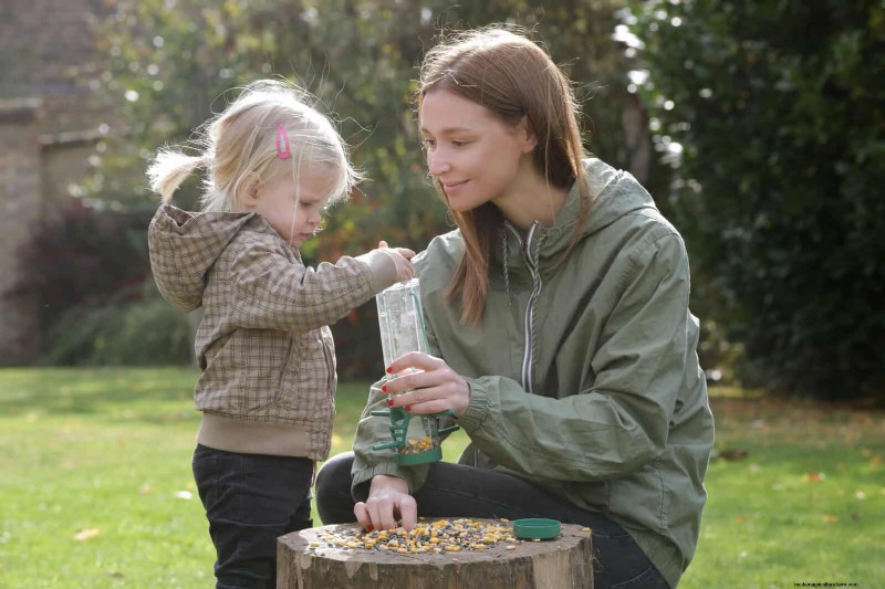 Backyard Bird Feeding: A Comprehensive Guide for Happy, Healthy Birds