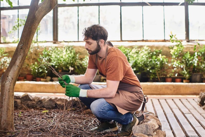 Fire-Safe Gardening: 18 Common Mistakes to Avoid