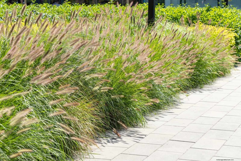 Fire-Safe Gardening: 18 Common Mistakes to Avoid