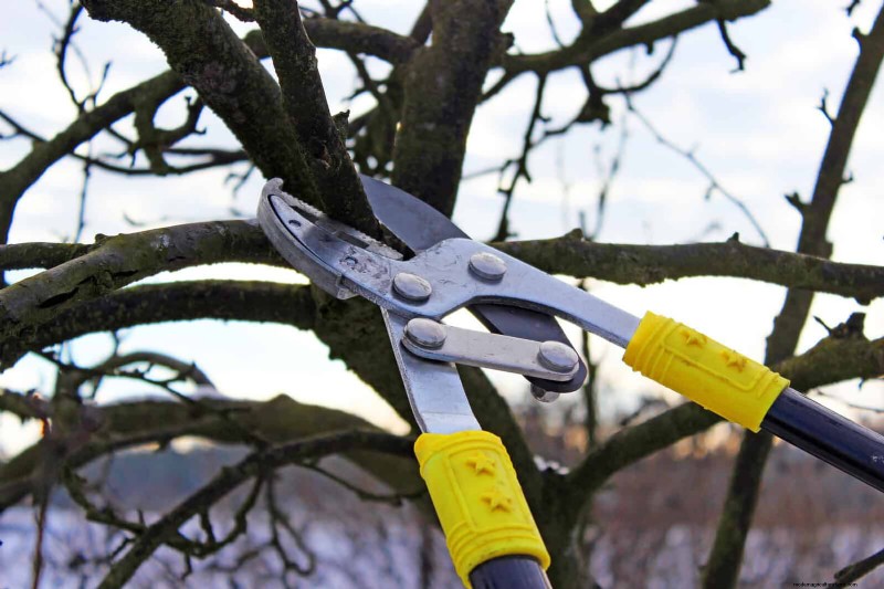 Fire-Safe Gardening: 18 Common Mistakes to Avoid
