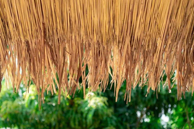 Fire-Safe Gardening: 18 Common Mistakes to Avoid
