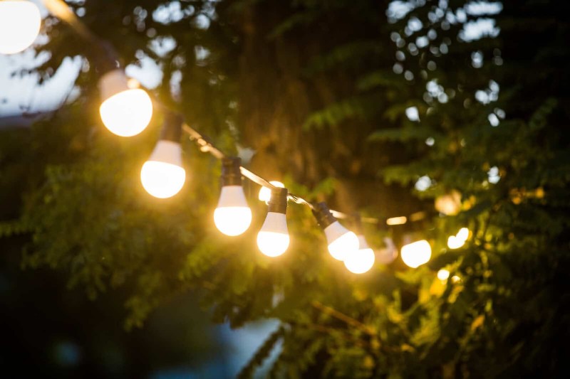 Fire-Safe Gardening: 18 Common Mistakes to Avoid