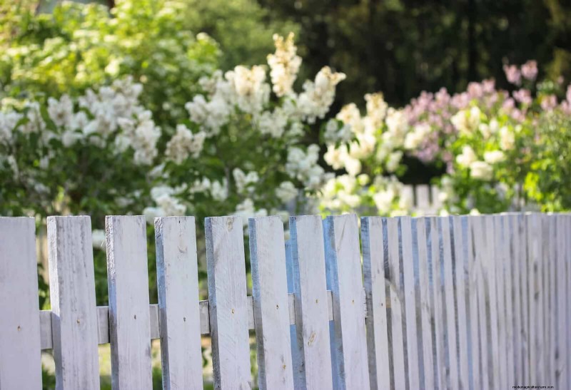 Fire-Safe Gardening: 18 Common Mistakes to Avoid