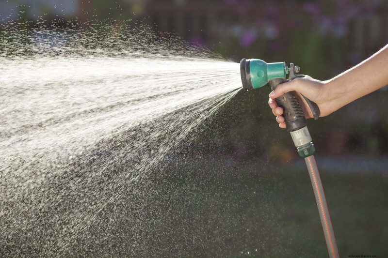 Fire-Safe Gardening: 18 Common Mistakes to Avoid