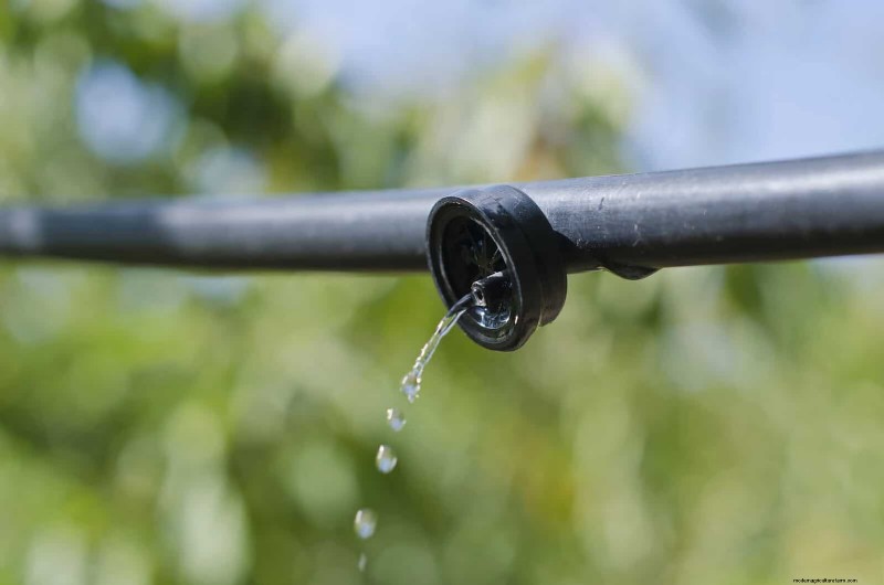 Fire-Safe Gardening: 18 Common Mistakes to Avoid