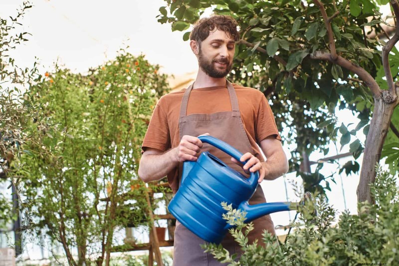 Fire-Safe Gardening: 18 Common Mistakes to Avoid