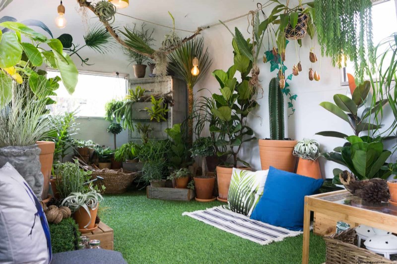 Low-Maintenance Indoor Plants: 23 Easy-Care Options for Busy Gardeners