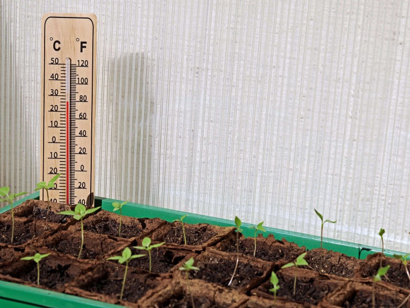 Fertilizer Timing Mistakes: Avoid Ruining Your Spring Blooms