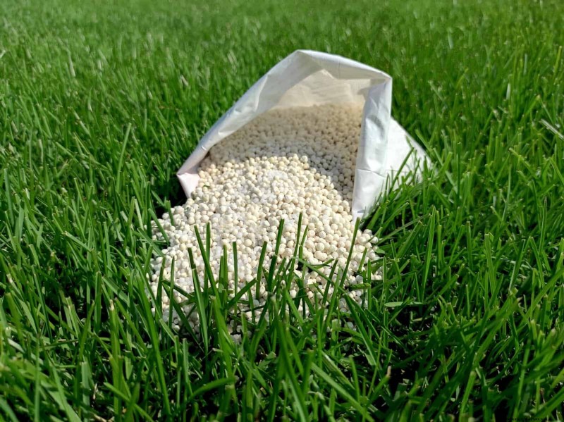 Fertilizer Timing Mistakes: Avoid Ruining Your Spring Blooms