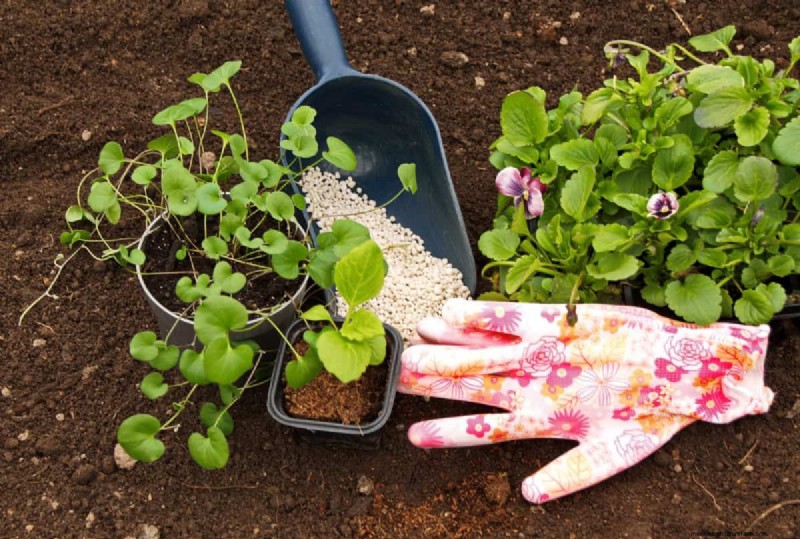 Fertilizer Timing Mistakes: Avoid Ruining Your Spring Blooms