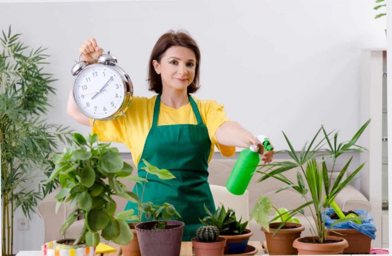 Fertilizer Timing Mistakes: Avoid Ruining Your Spring Blooms
