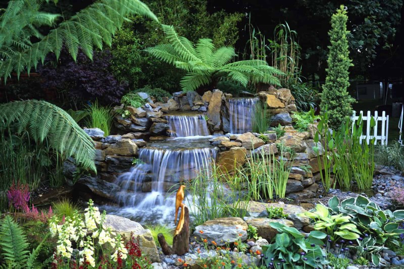 Shade-Loving Plants: Beautiful Greenery for Low-Light Gardens