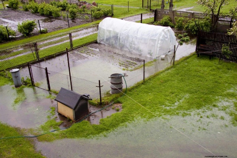 Protecting Your Garden: How Tornadoes & Storms Affect Spring Plants