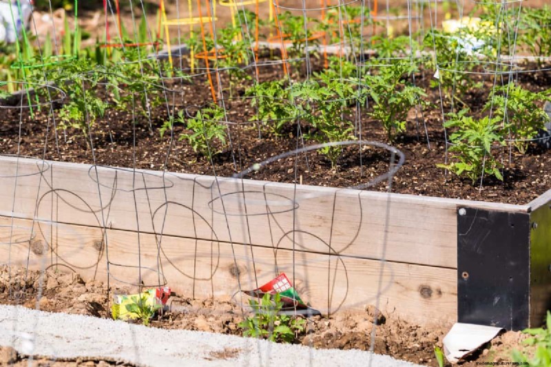 Protecting Your Garden: How Tornadoes & Storms Affect Spring Plants