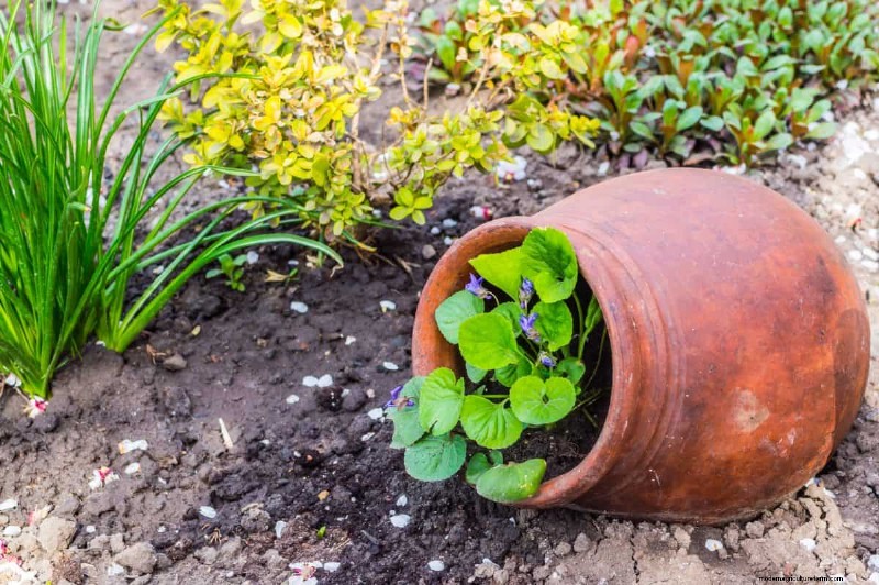 Protecting Your Garden: How Tornadoes & Storms Affect Spring Plants