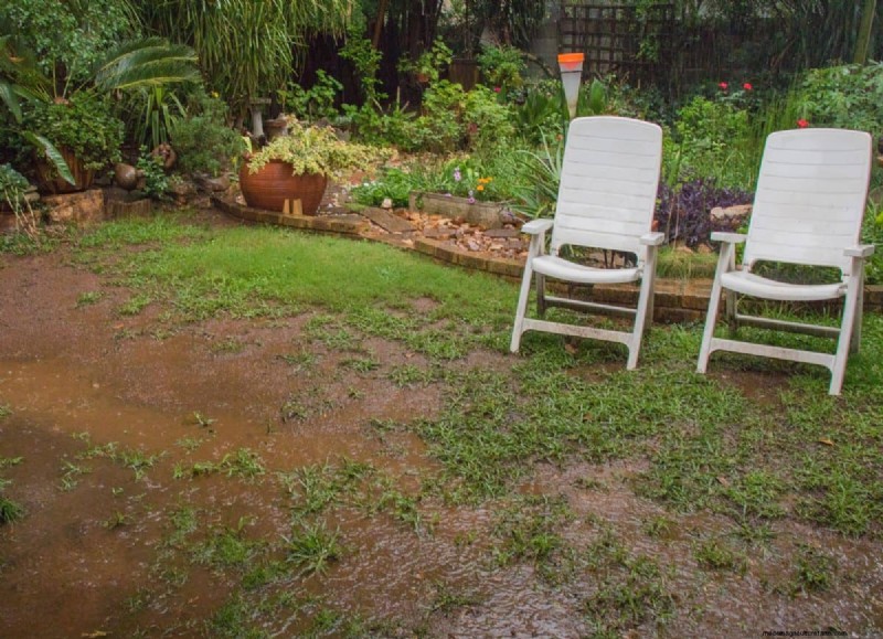 Protecting Your Garden: How Tornadoes & Storms Affect Spring Plants