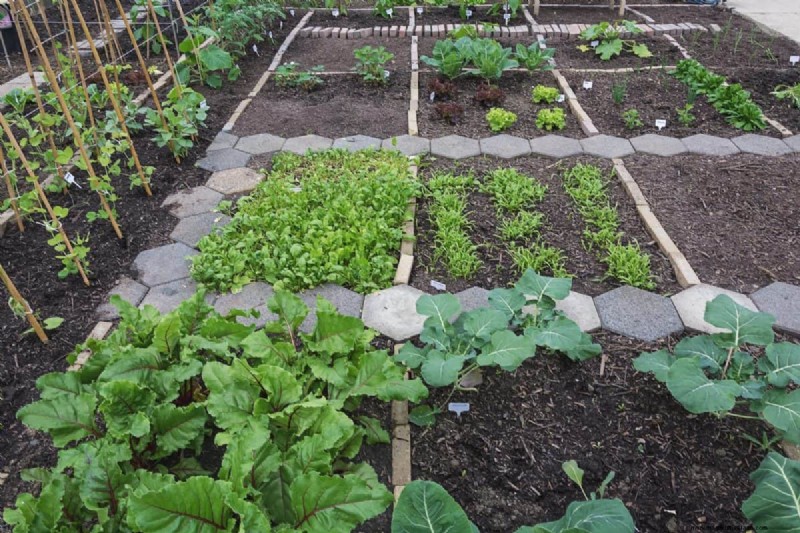 Protecting Your Garden: How Tornadoes & Storms Affect Spring Plants