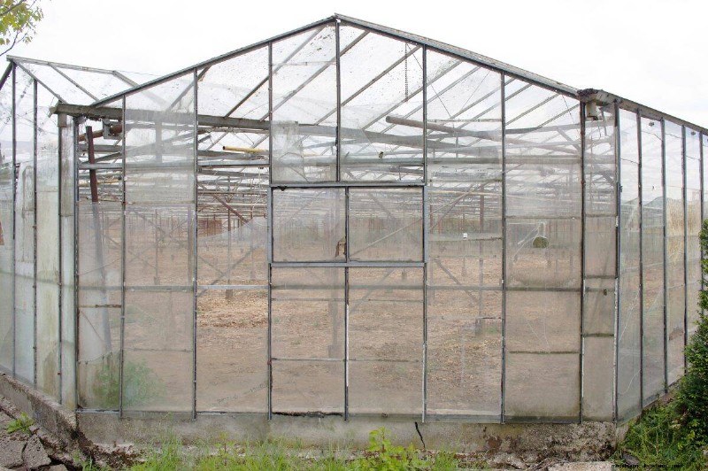 Protecting Your Garden: How Tornadoes & Storms Affect Spring Plants
